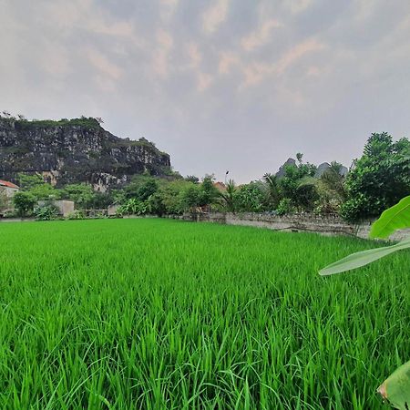 Trang An Garden Bungalow نينه بينه المظهر الخارجي الصورة